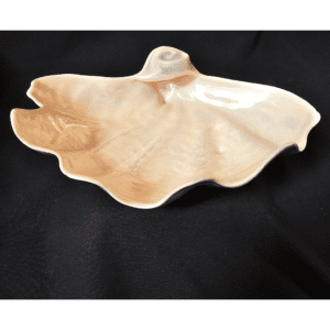 A large, white clam shell against a dark background.