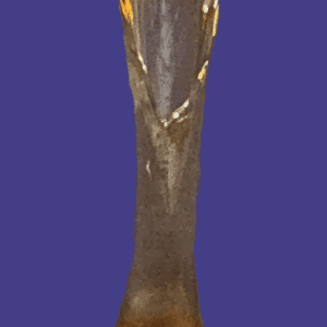 A tall, elegant glass trophy with a unique textured design on a blue background.