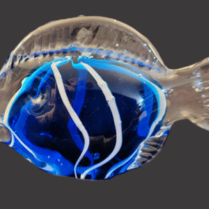 Transparent fish with blue and white markings swimming.